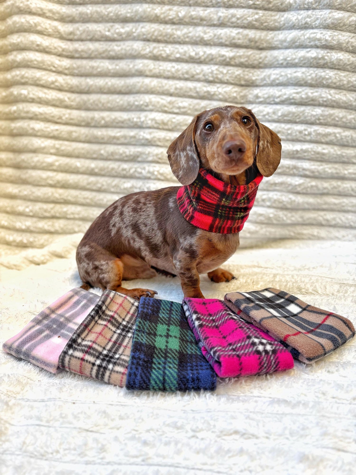 Tartan