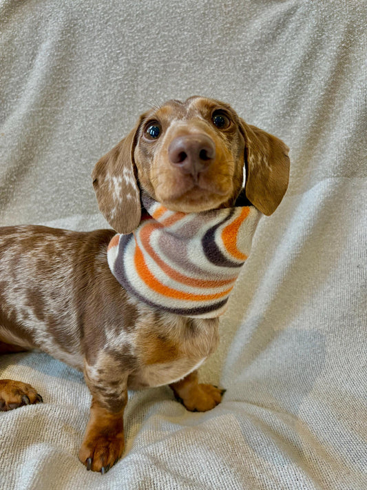 Handmade Retro Polar Fleece Dog Snood – Personalised Option