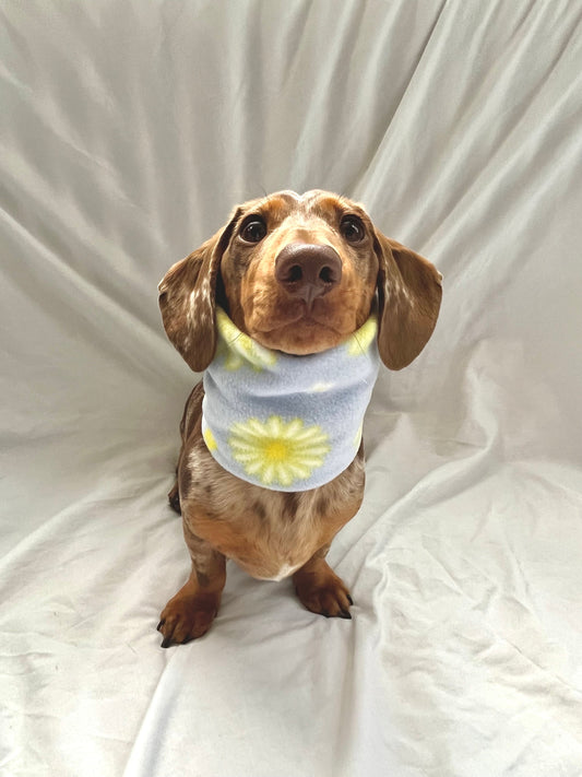 Handmade Daisy Polar Fleece Dog Snood – Personalised Option