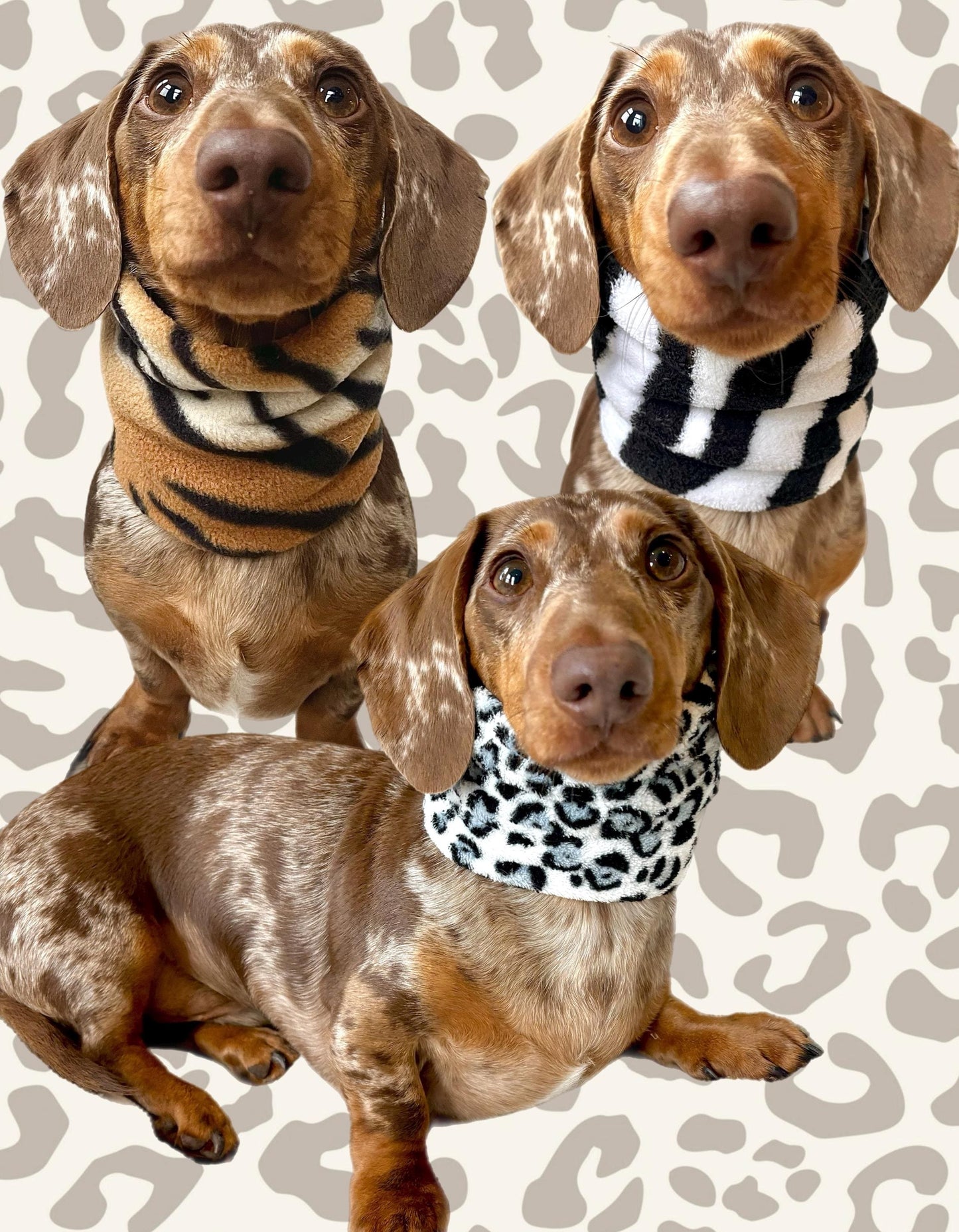 Handmade Animal Print Polar Fleece & Faux Fur Dog Snood – Personalised Option