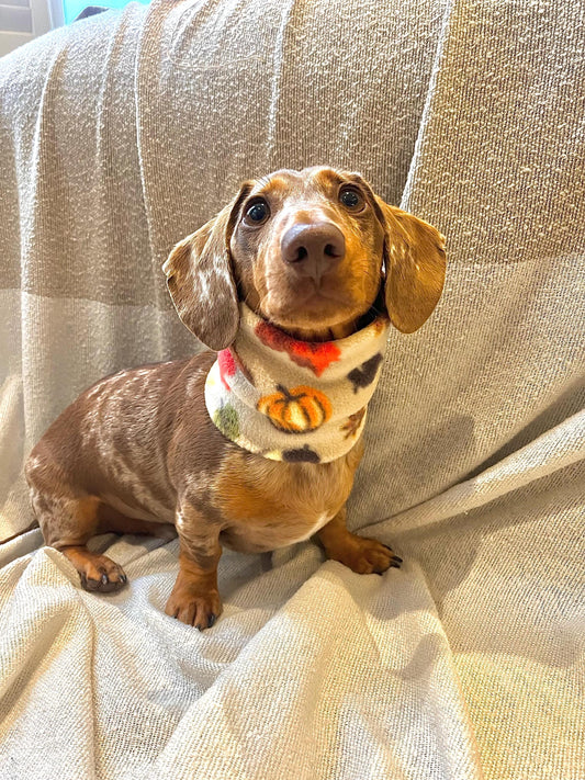 Handmade Autumn Polar Fleece Dog Snood – Personalised Option