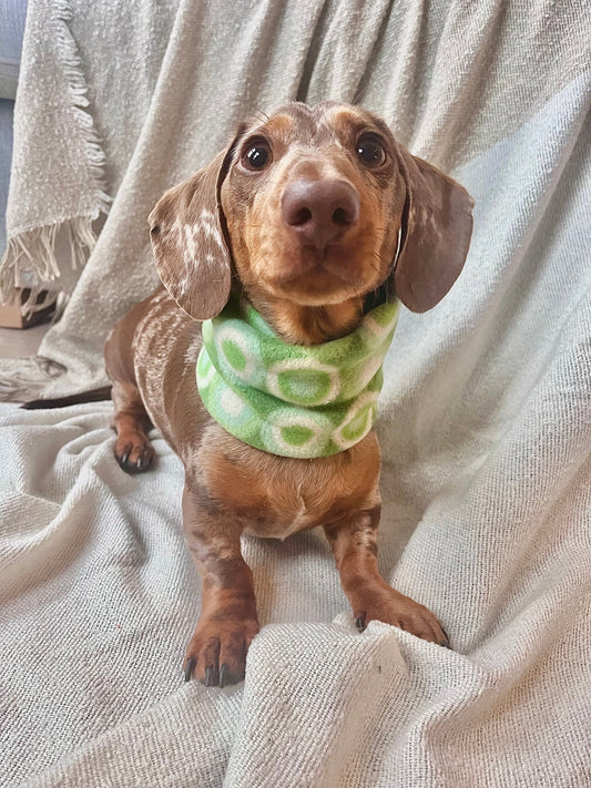 Handmade Disco Polar Fleece Dog Snood – Personalised Option