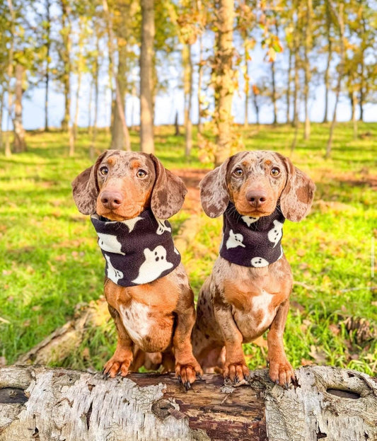 Handmade Ghost Polar Fleece Dog Snood – Personalised Option