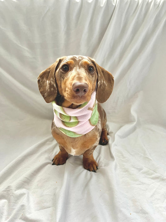 Handmade Avocado and Pears Polar Fleece Dog Snood – Personalised Option