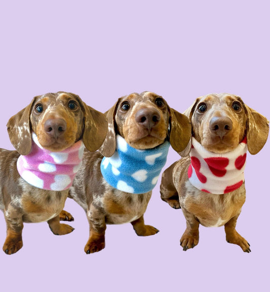Handmade Heart Polar Fleece Dog Snood – Personalised Option
