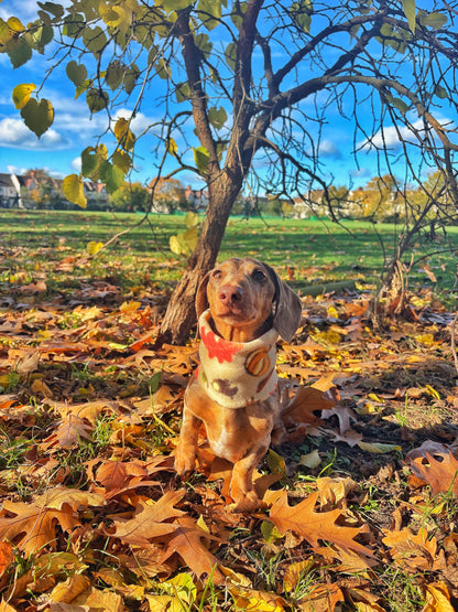 Handmade Autumn Polar Fleece Dog Snood – Personalised Option