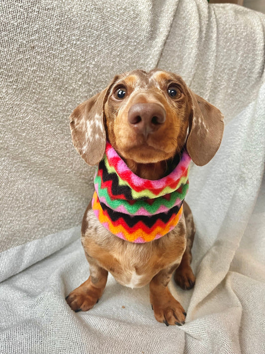 Handmade  Zig Zag Polar Fleece Dog Snood – Personalised Option