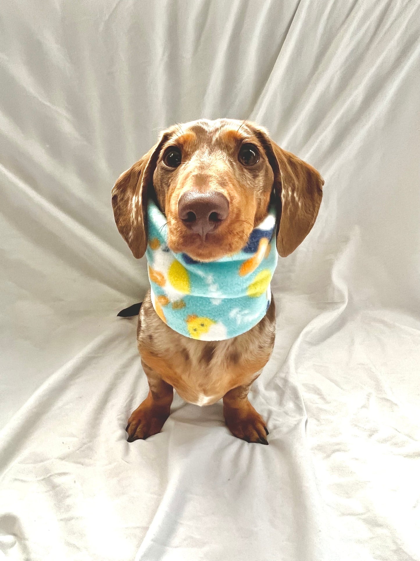 Handmade Easter Polar Fleece Dog Snood – Personalised Option