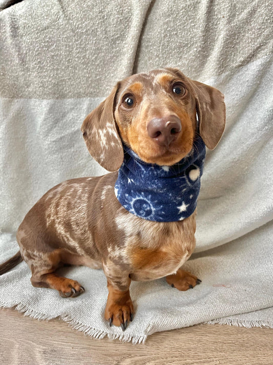 Handmade Zodiac Polar Fleece Dog Snood – Personalised Option